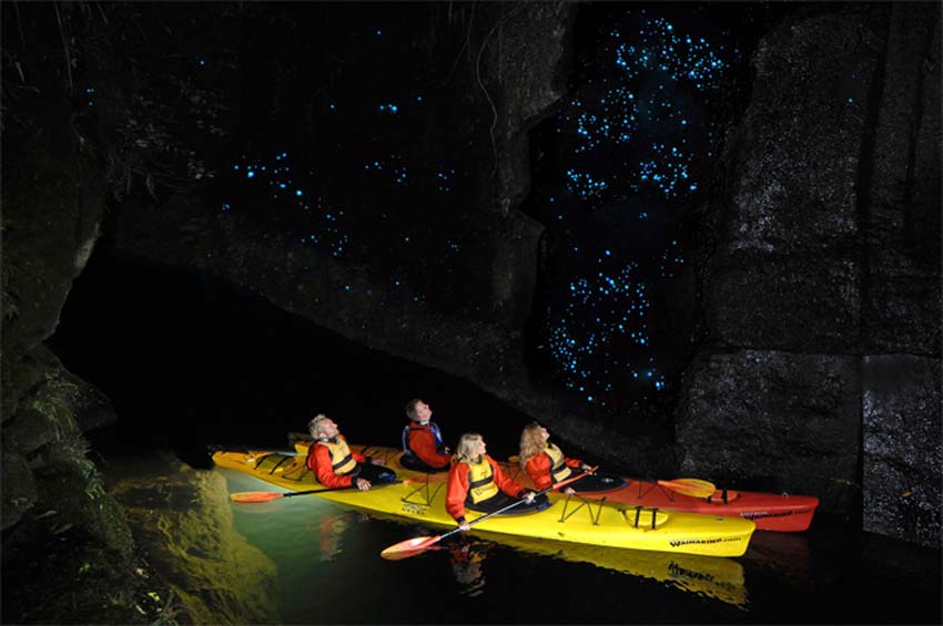 jaskinia Waitomo Glowworm