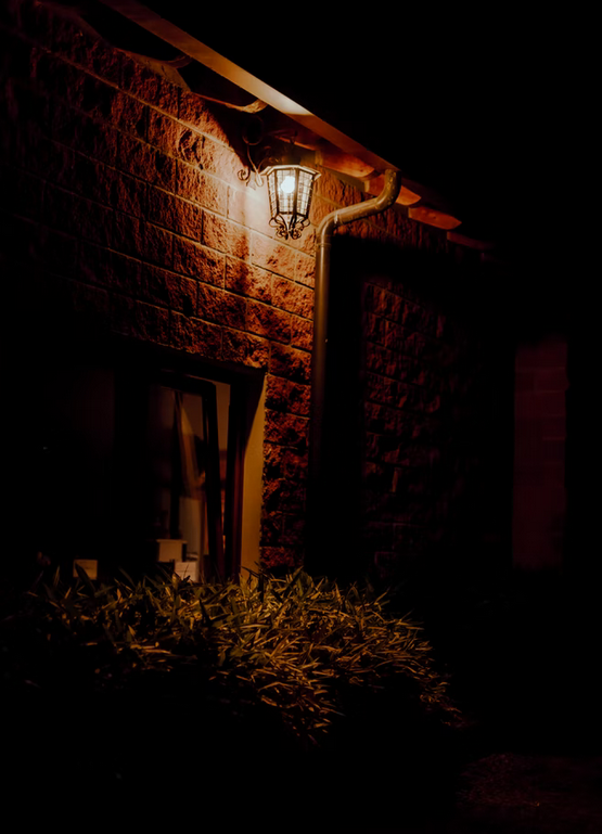 Oświetlenie ogrodu - siła minimalizmu