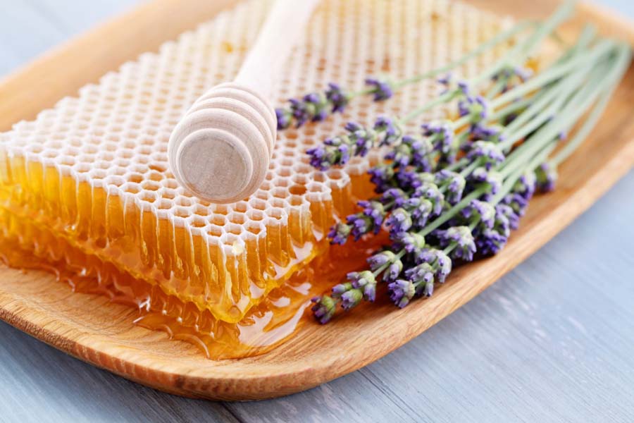 Jak ważne są dla nas pszczoły?