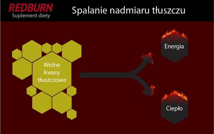 spalanie-tluszczu.jpg