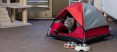 Cat Camp zaprojektowała miniaturowe namioty dla kotów