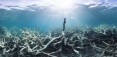 Biotherm wspiera ochronę oceanicznych zasobów