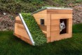 Studio Schicketanz zaprojektowało przytulne domki dla psów z zielonym dachem